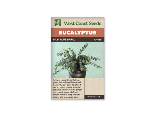 Eucalyptus "Baby Blue Spiral" West Coast Seeds