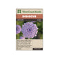 Didiscus “Lace Blue” West Coast Seeds