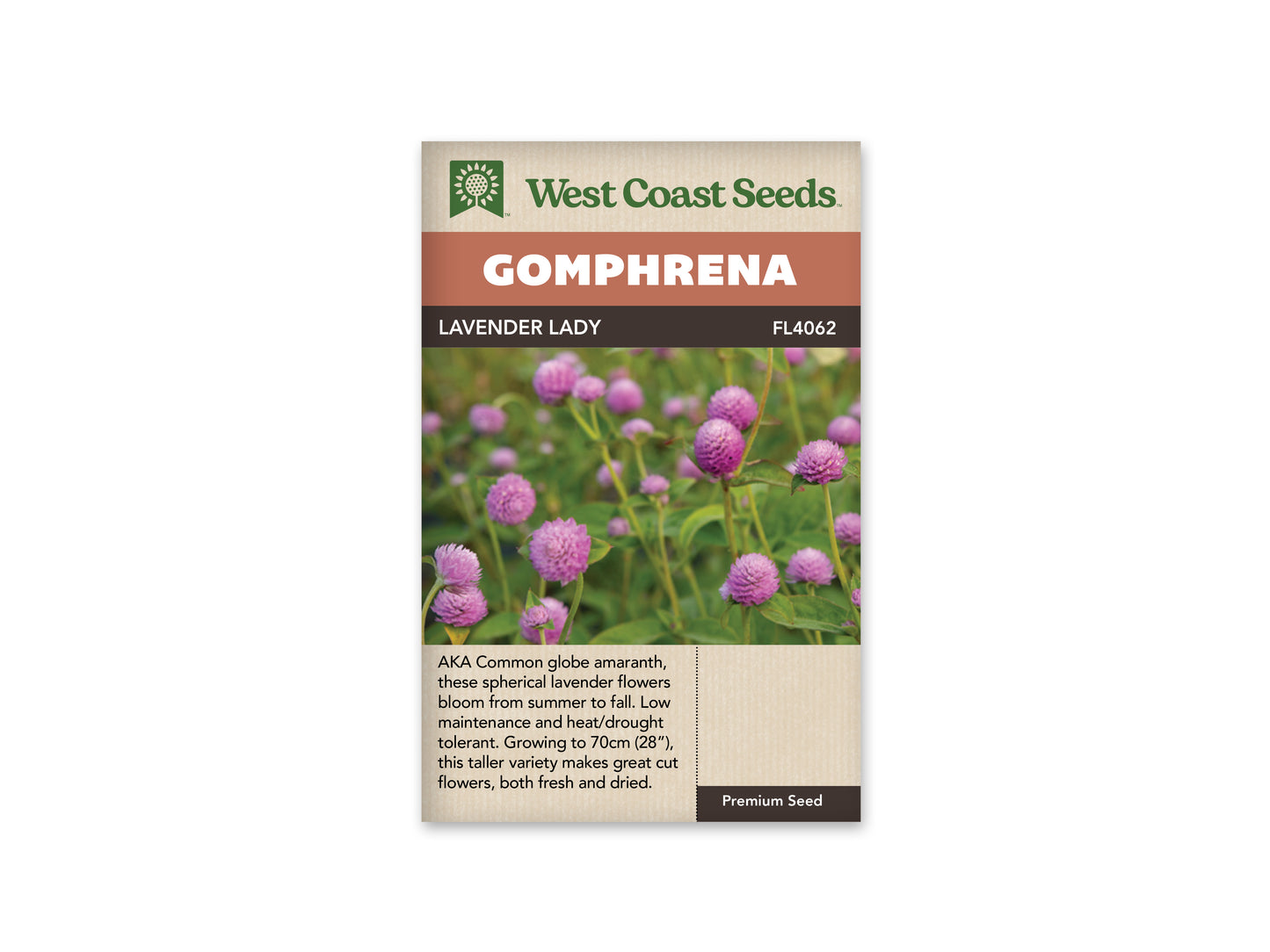 Gomphrena “Lavender Lady” West Coast Seeds