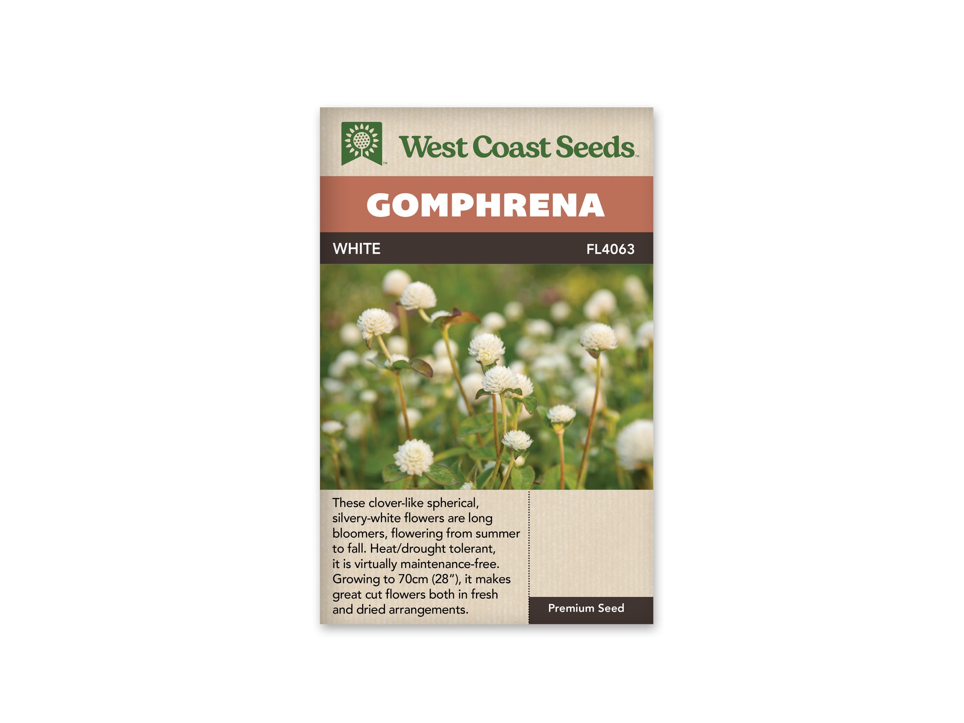 Gomphrena “White” West Coast Seeds