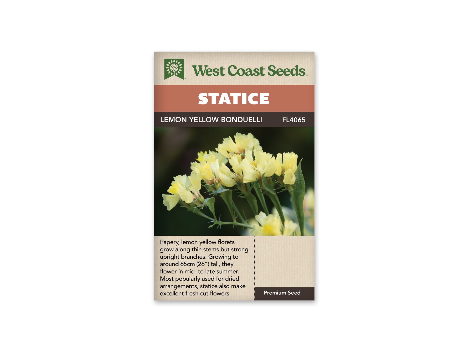 Statice “Lemon Yellow Bonduelli” West Coast Seeds