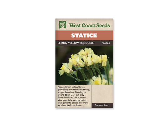 Statice “Lemon Yellow Bonduelli” West Coast Seeds