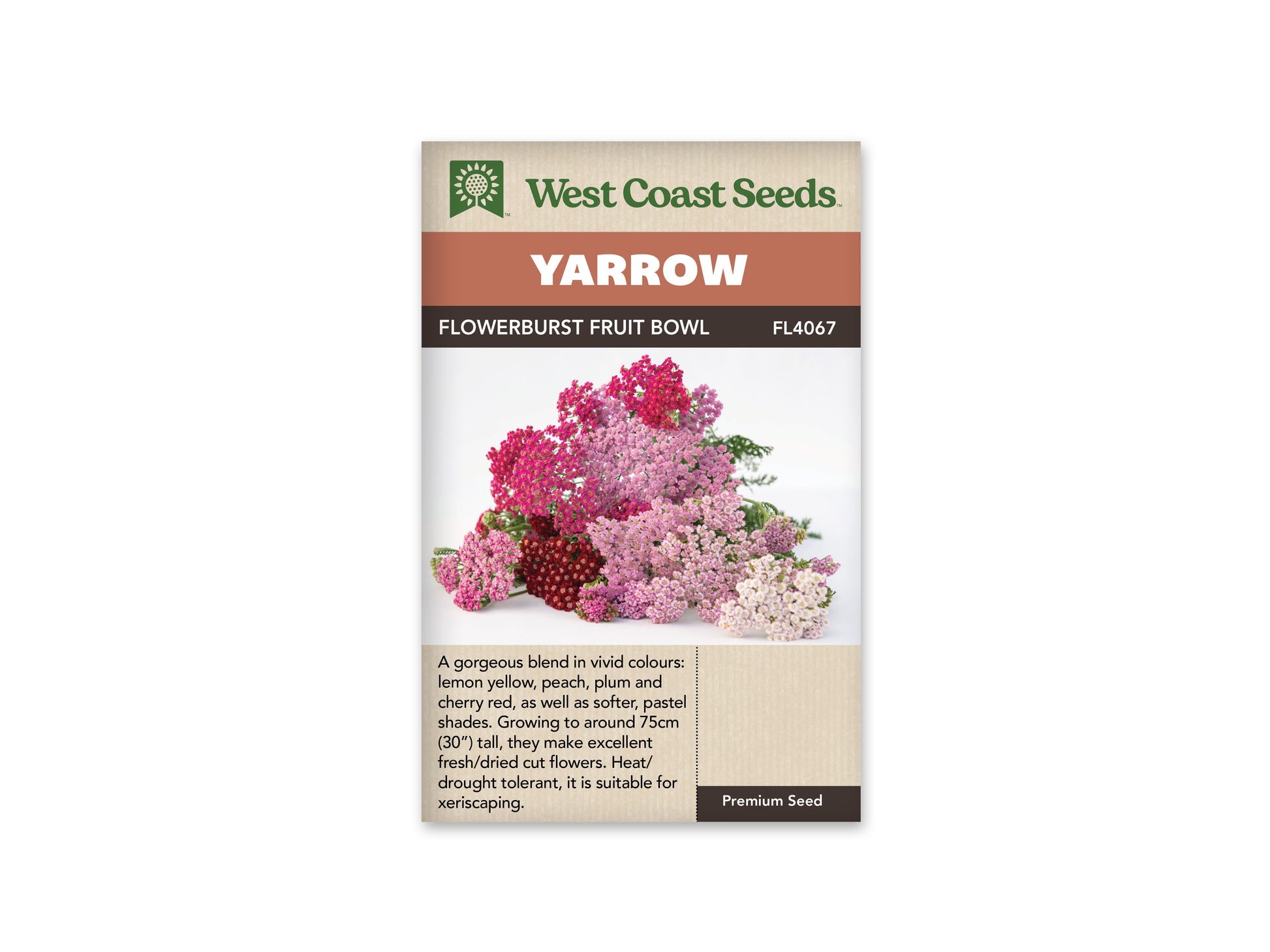 Achillea "Flowerburst Fruit Bowl" West Coast Seeds