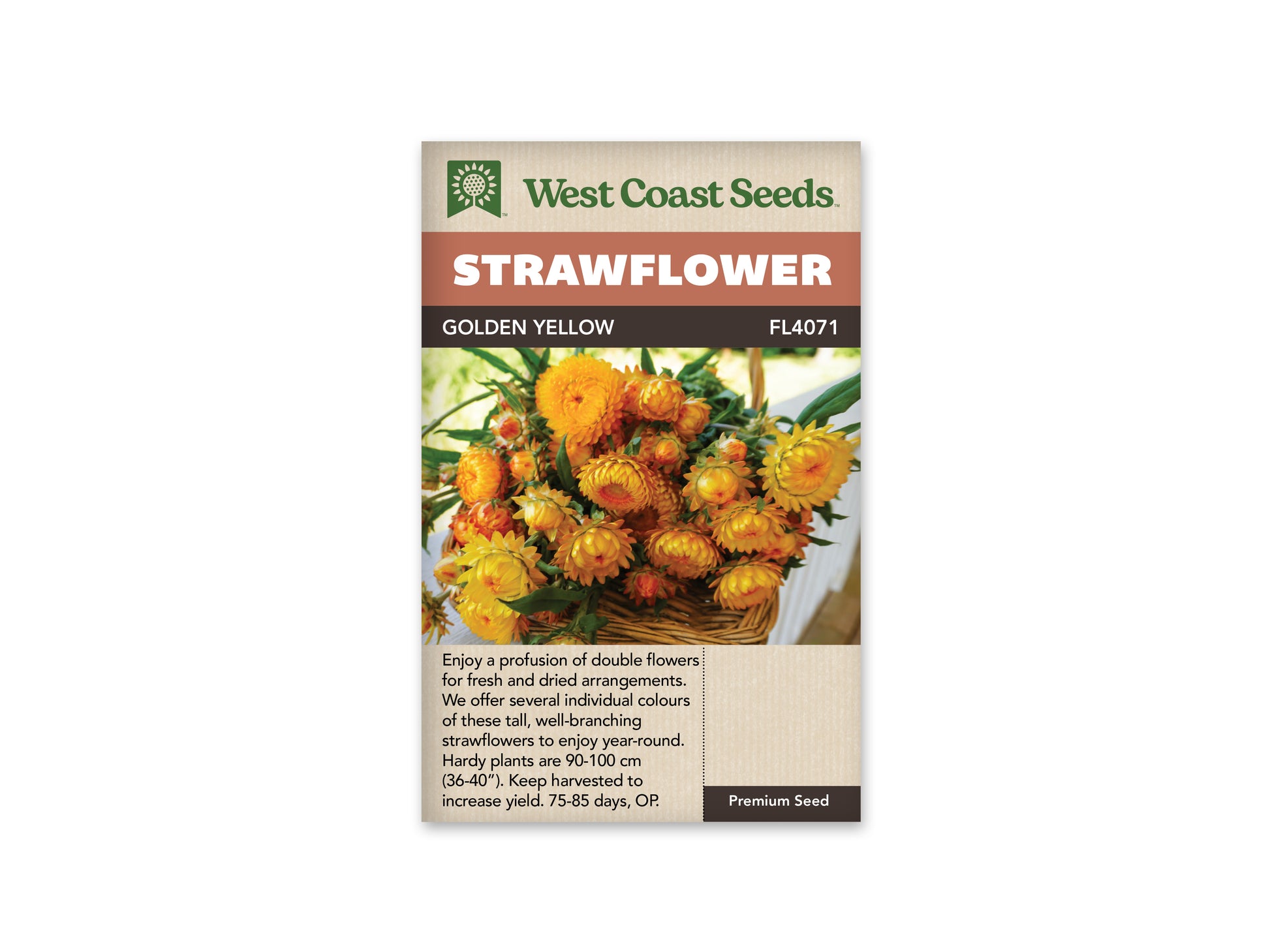 Strawflower “Golden Yellow” West Coast Seeds