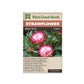 Strawflower “Bright Rose” West Coast Seeds