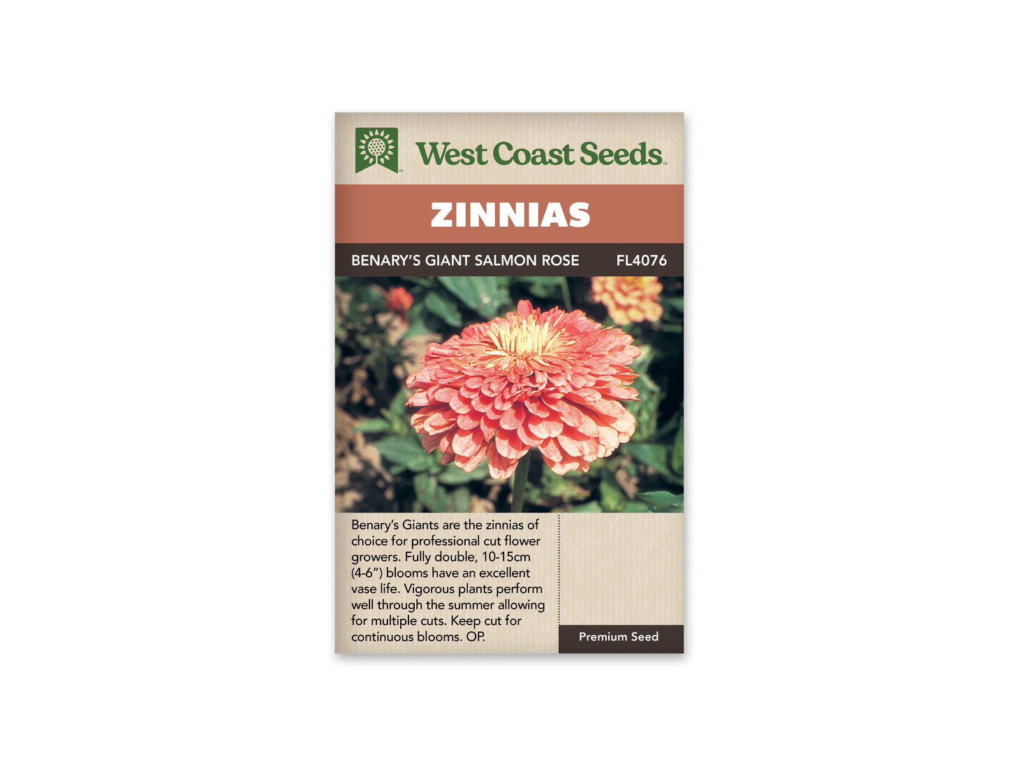 Zinnia "Benary's Giant Salmon Rose" West Coast Seeds
