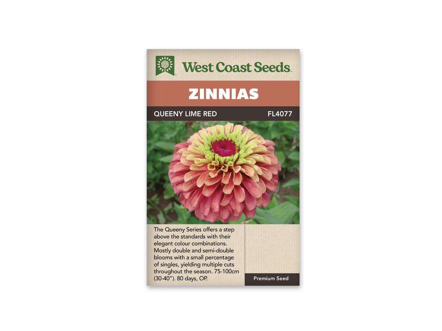 Zinnias "Queeny Lime Red" West Coast Seeds
