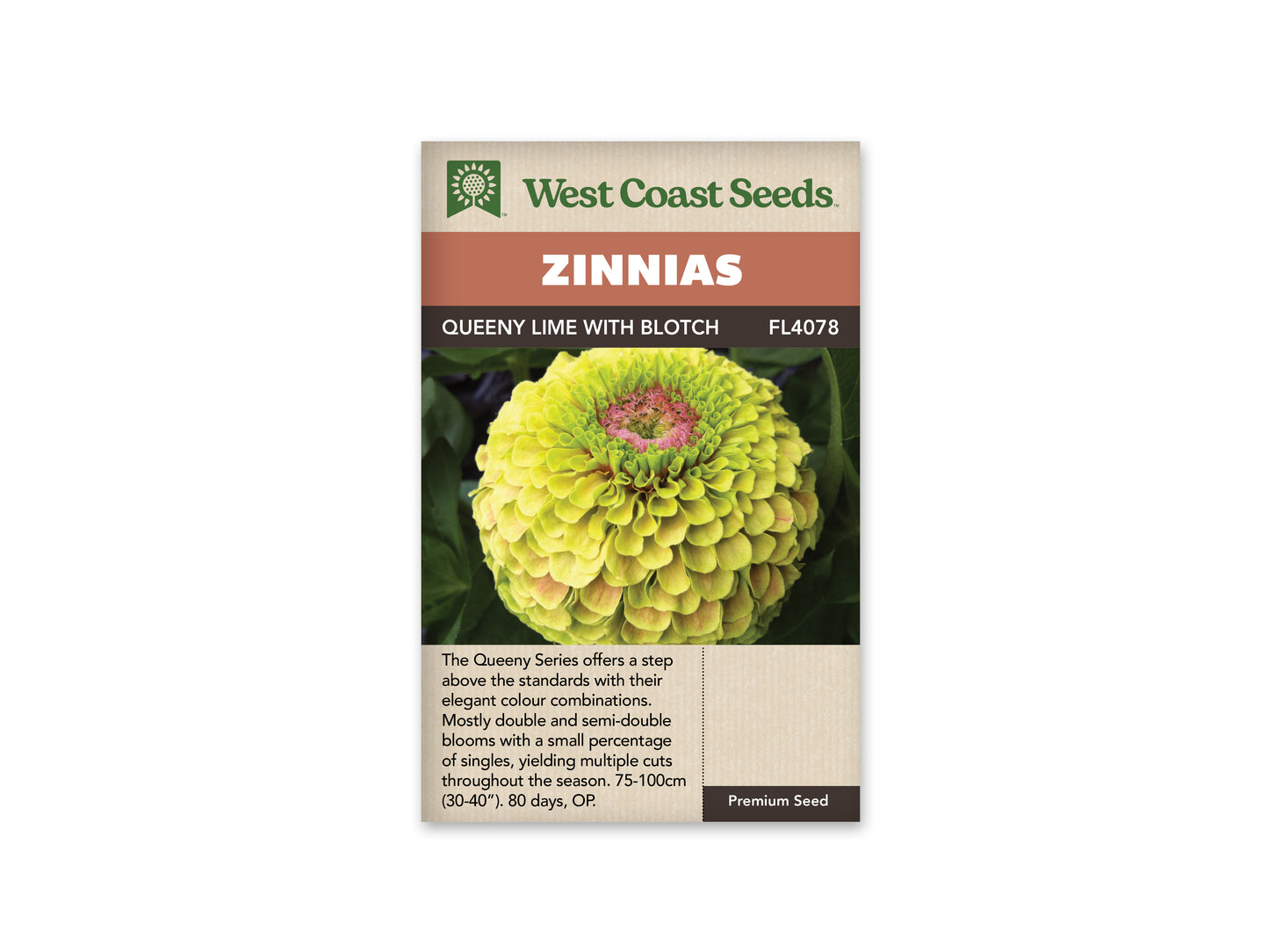 Zinnias “Queeny Lime with Blotch” West Coast Seeds