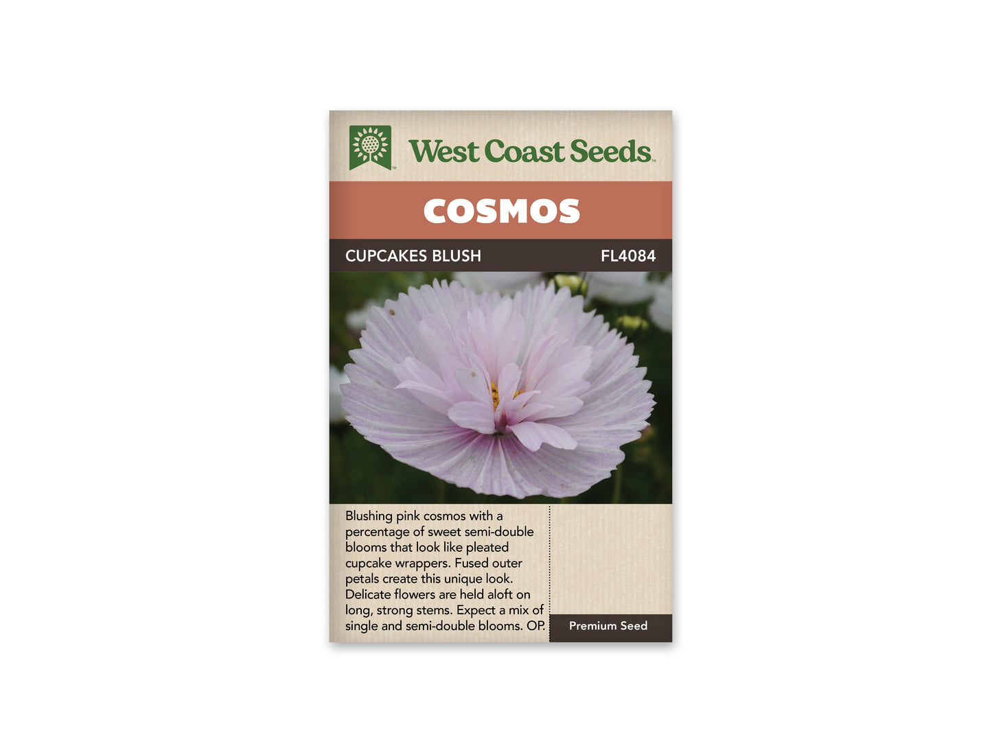 Cosmos "Cupcakes Blush" West Coast Seeds