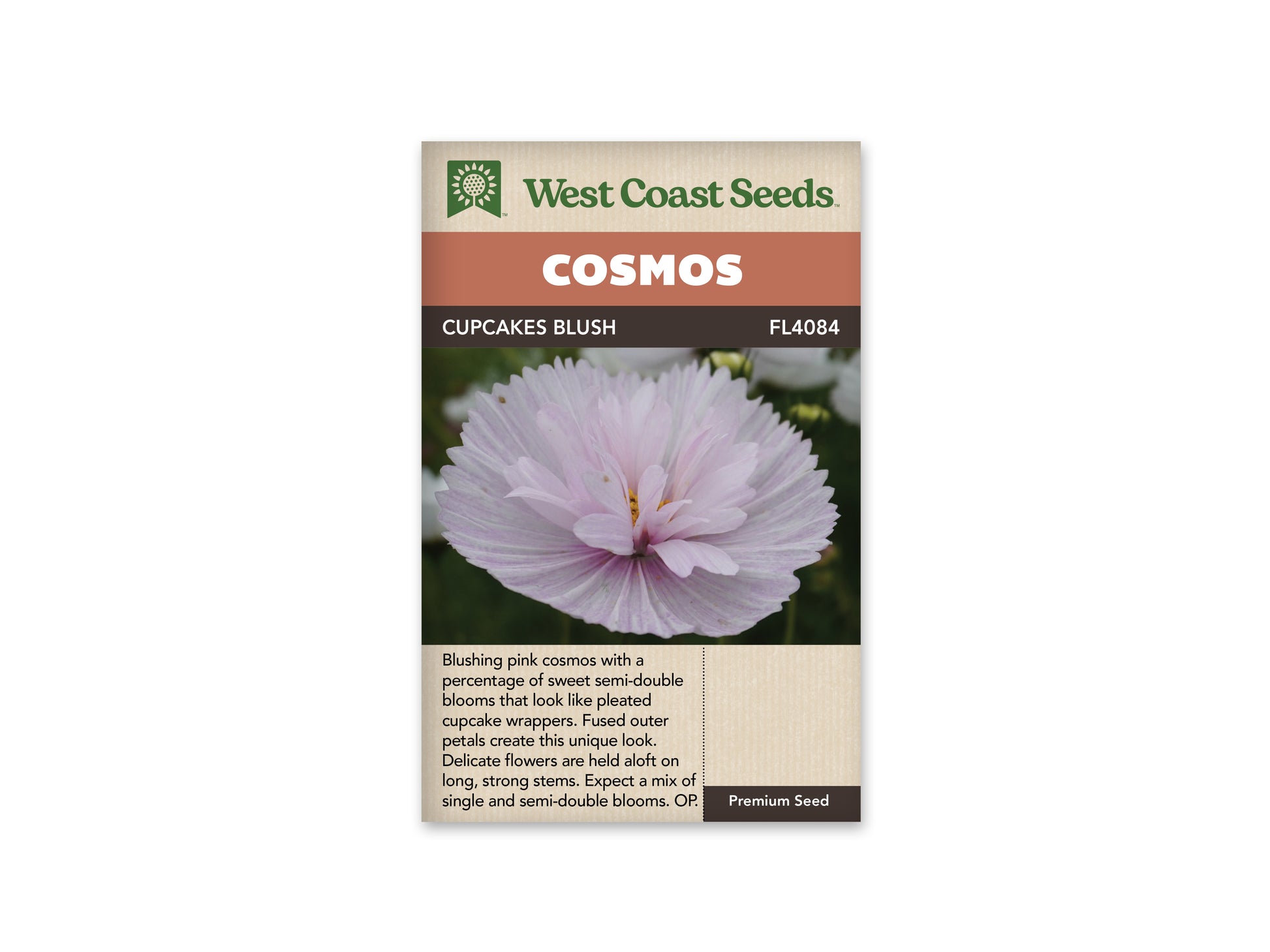 Cosmos "Cupcakes Blush" West Coast Seeds