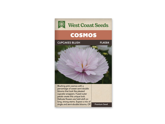 Cosmos “Cupcakes Blush” West Coast Seeds