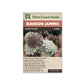 Daucus "Purple Kisses" West Coast Seeds