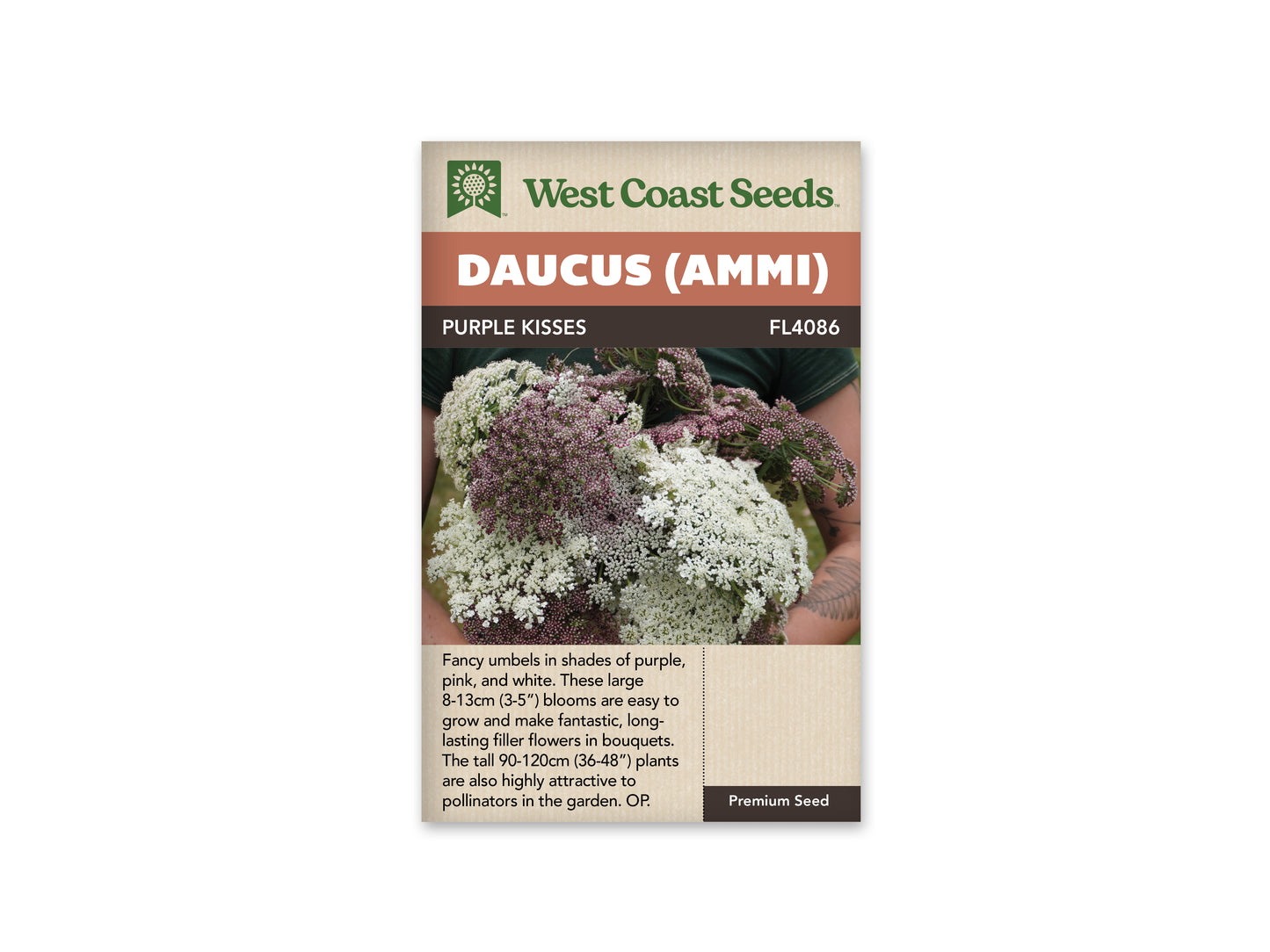 Daucus "Purple Kisses" West Coast Seeds