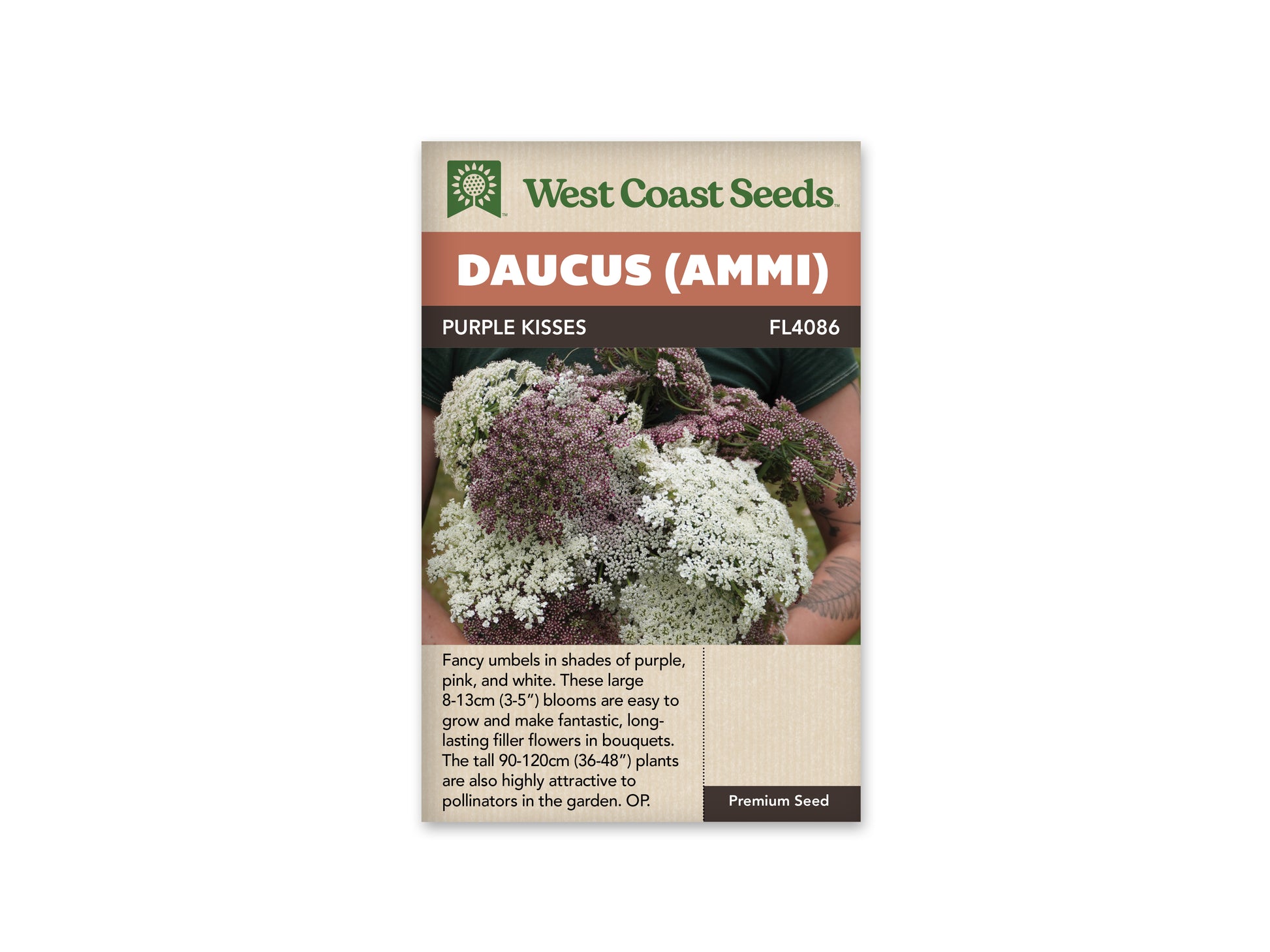 Daucus "Purple Kisses" West Coast Seeds