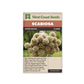 Scabiosa "Paper Moon" West Coast Seeds