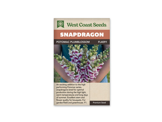 Snapdragons “Potomac Plumblossom F1” West Coast Seeds