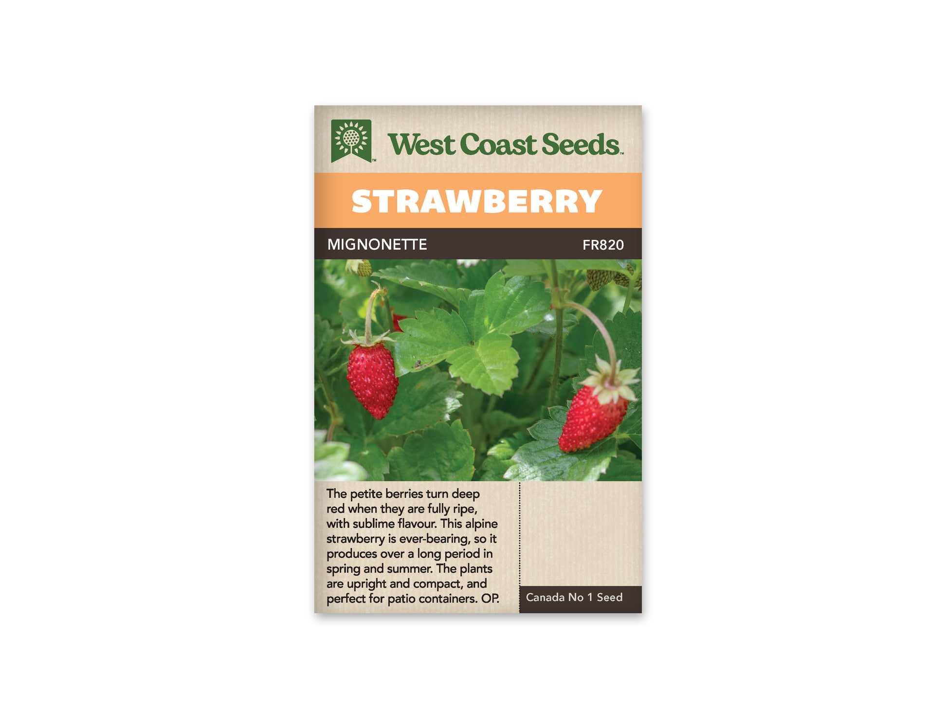 Strawberry "Mignonette" West Coast Seeds