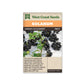 Solanum "Garden Huckleberry" West Coast Seeds