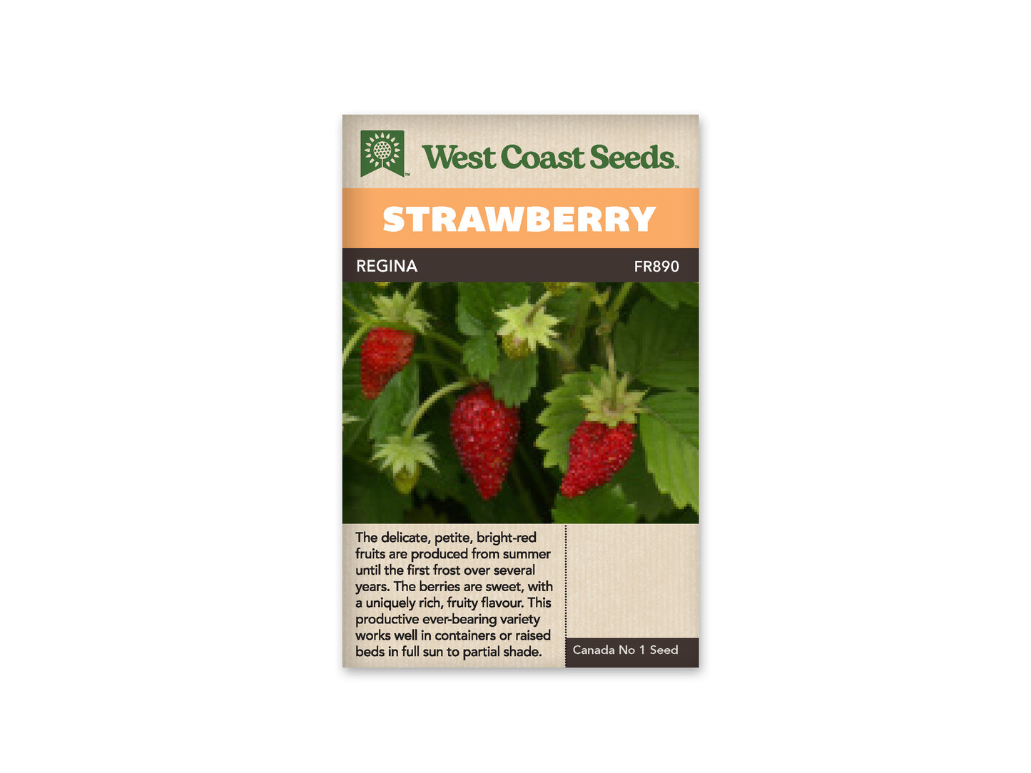 Strawberry "Regina" West Coast Seeds