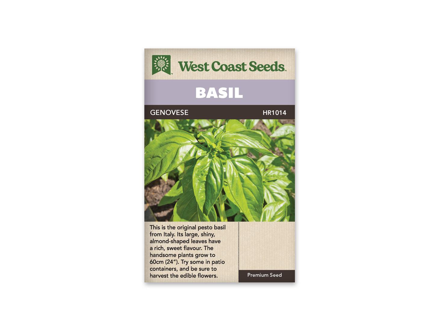 Basil “Genovese” West Coast Seeds