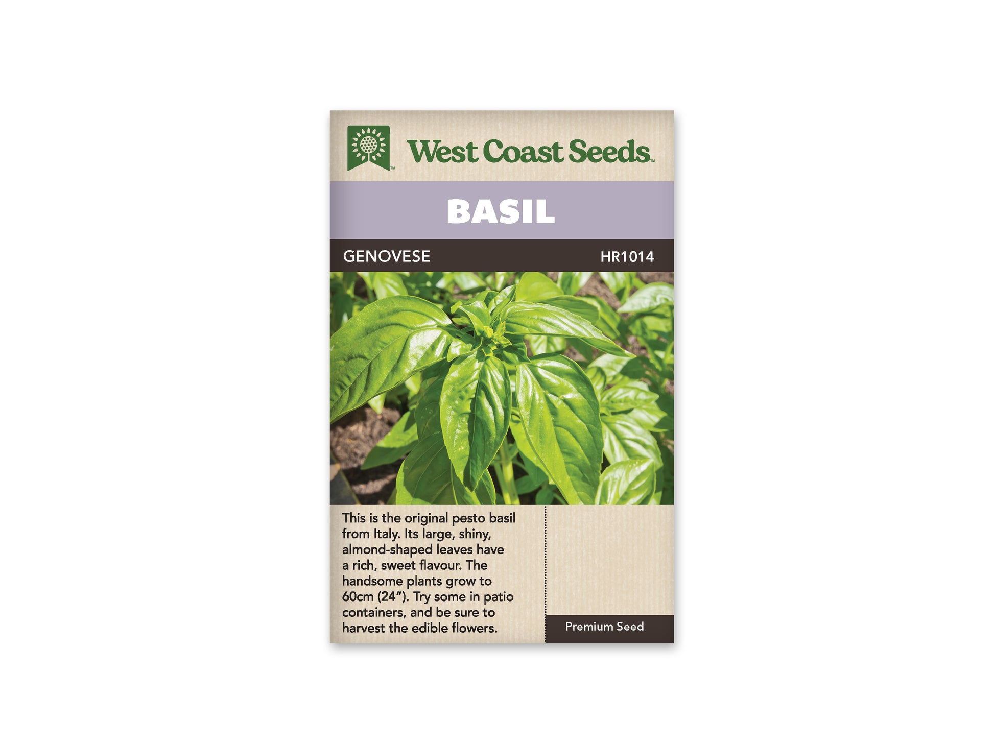 Basil “Genovese” West Coast Seeds