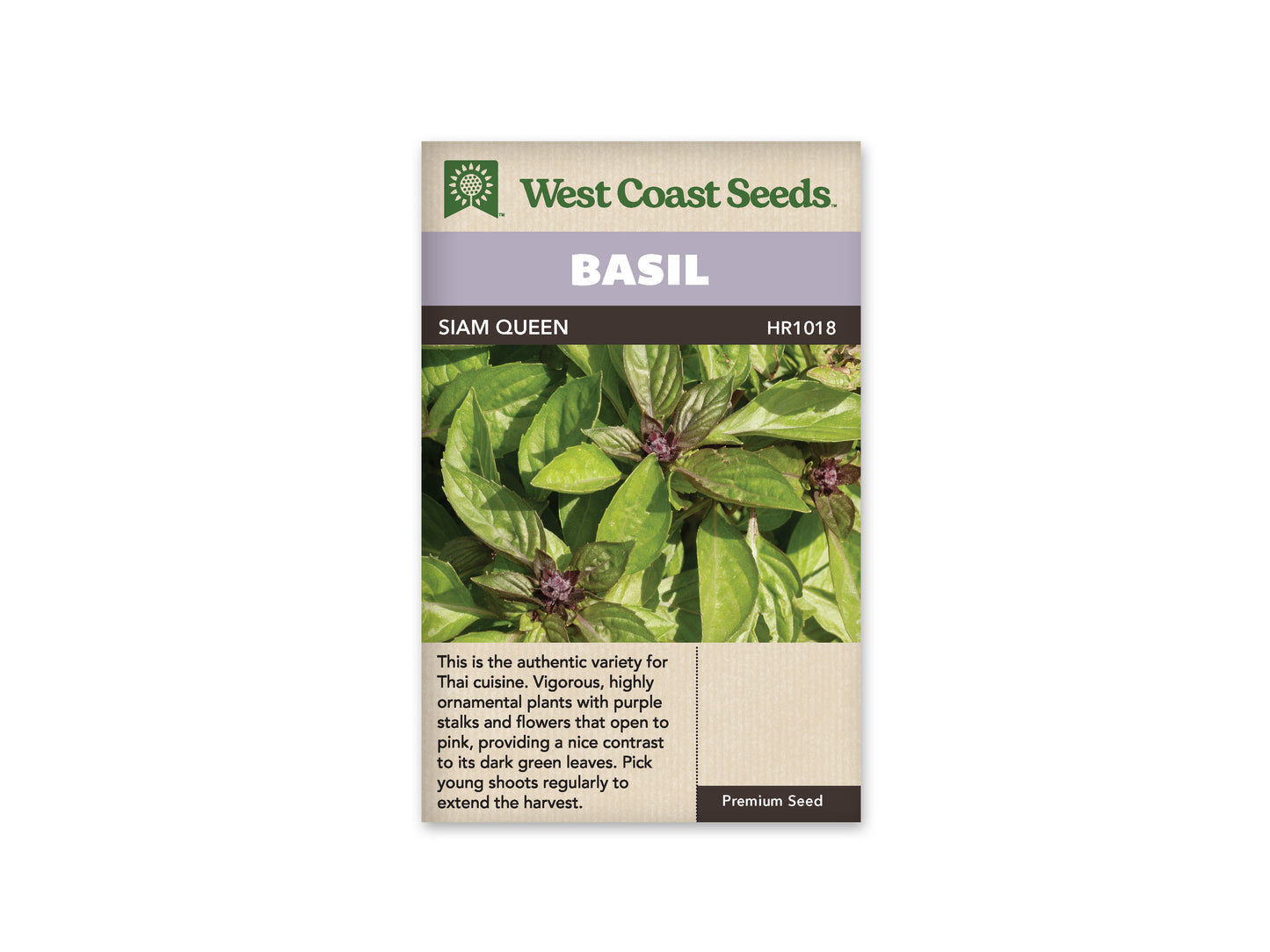 Basil “Siam Queen” West Coast Seeds
