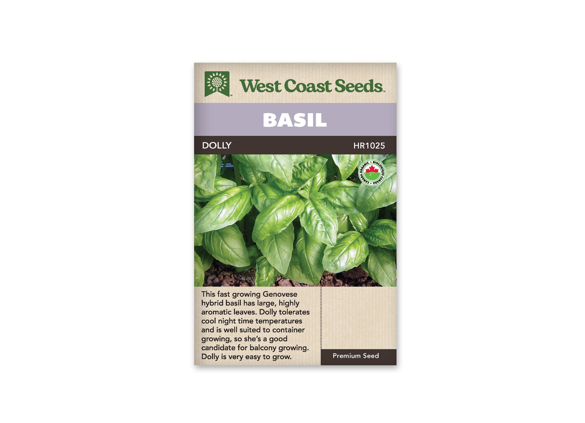 Basil "Dolly Organic" West Coast Seeds