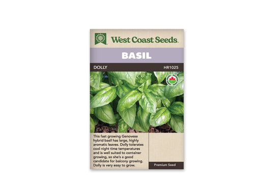 Basil "Dolly Organic" West Coast Seeds