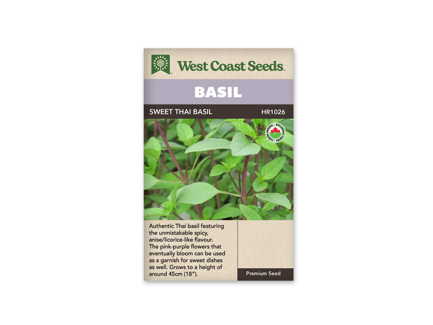 Basil “Sweet Thai Organic” West Coast Seeds