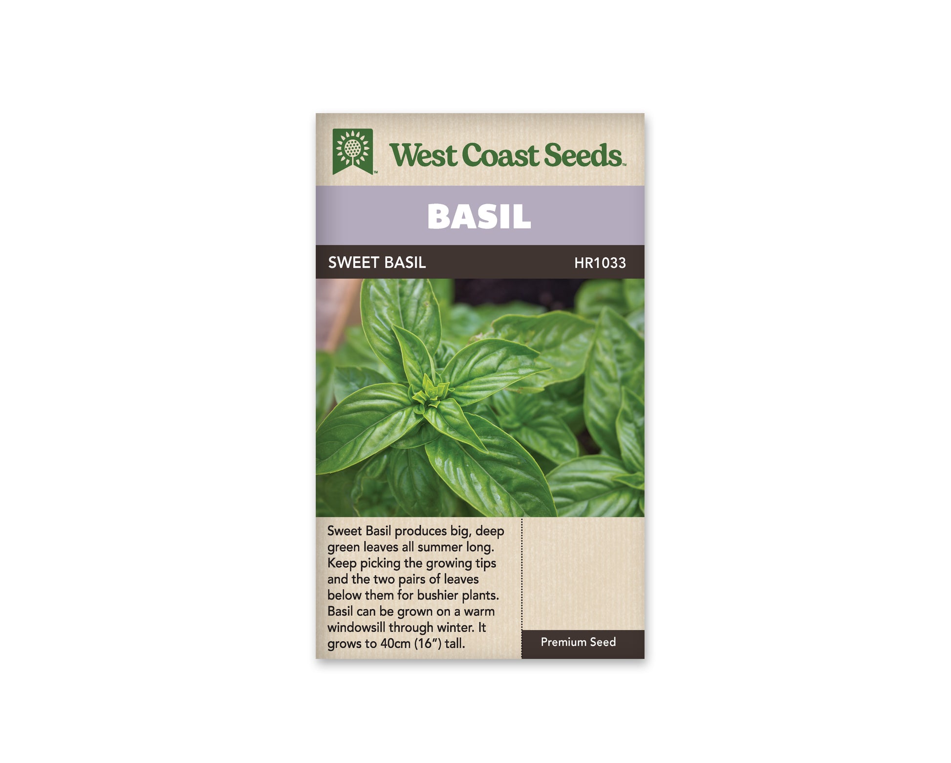Basil "Sweet Basil" West Coast Seeds