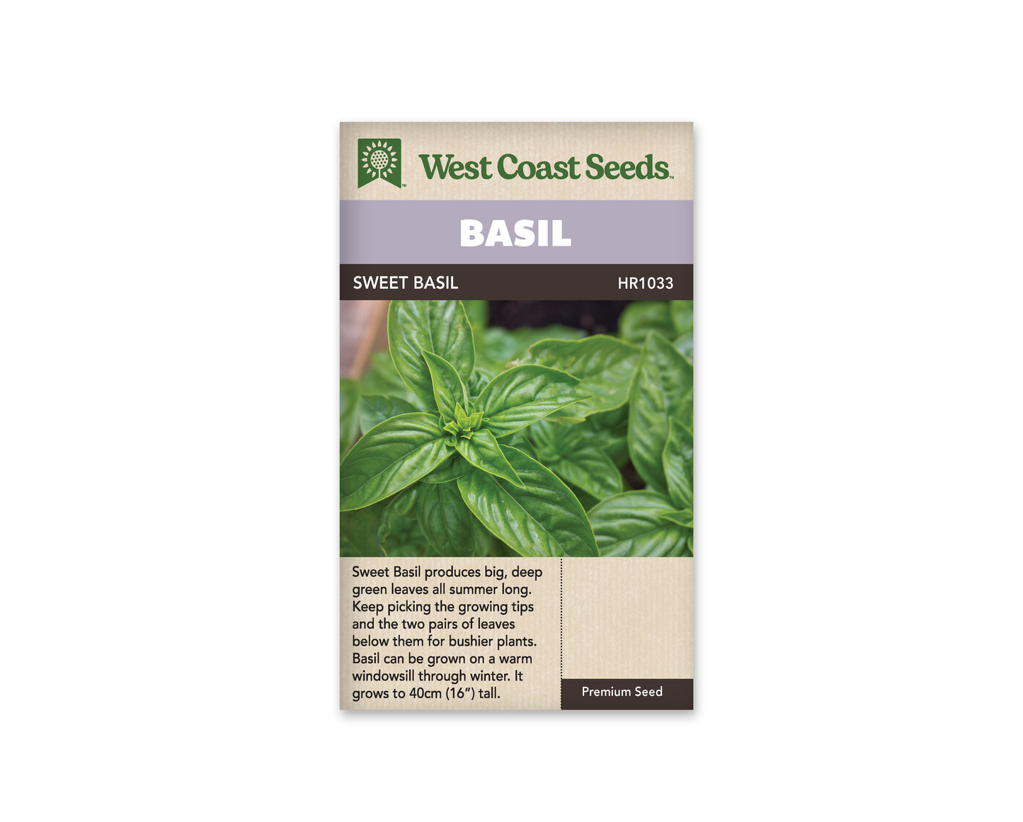 Basil “Sweet Basil” West Coast Seeds