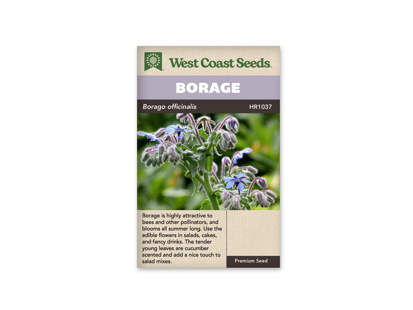 Borage West Coast Seeds