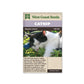 Catnip "Catnip" West Coast Seeds