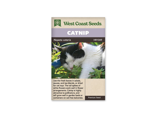 Catnip “Catnip” West Coast Seeds