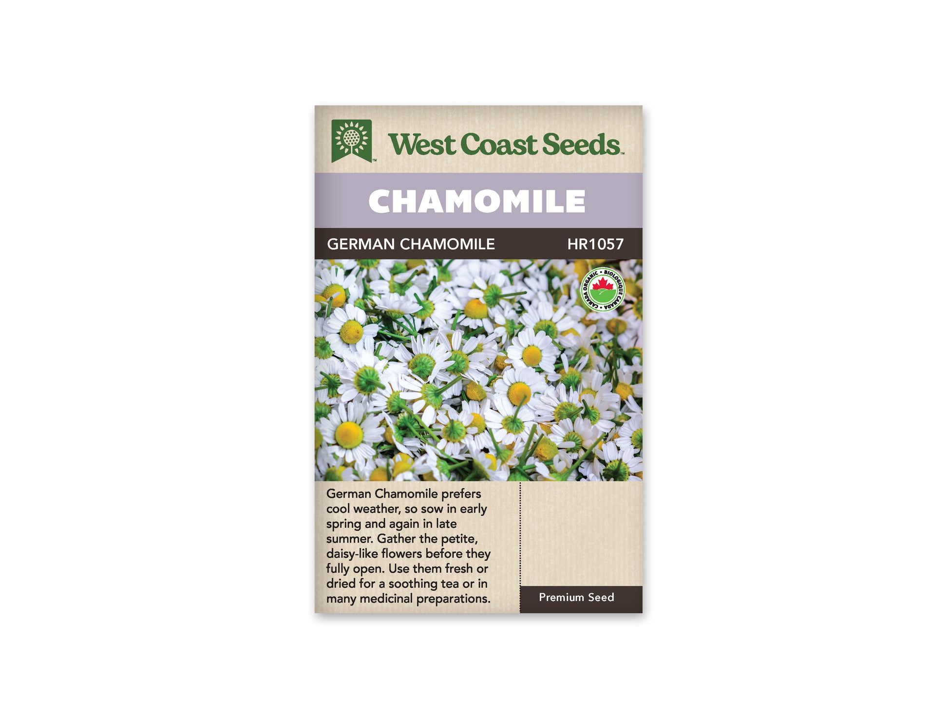 Chamomile “German Chamomile Organic” West Coast Seeds