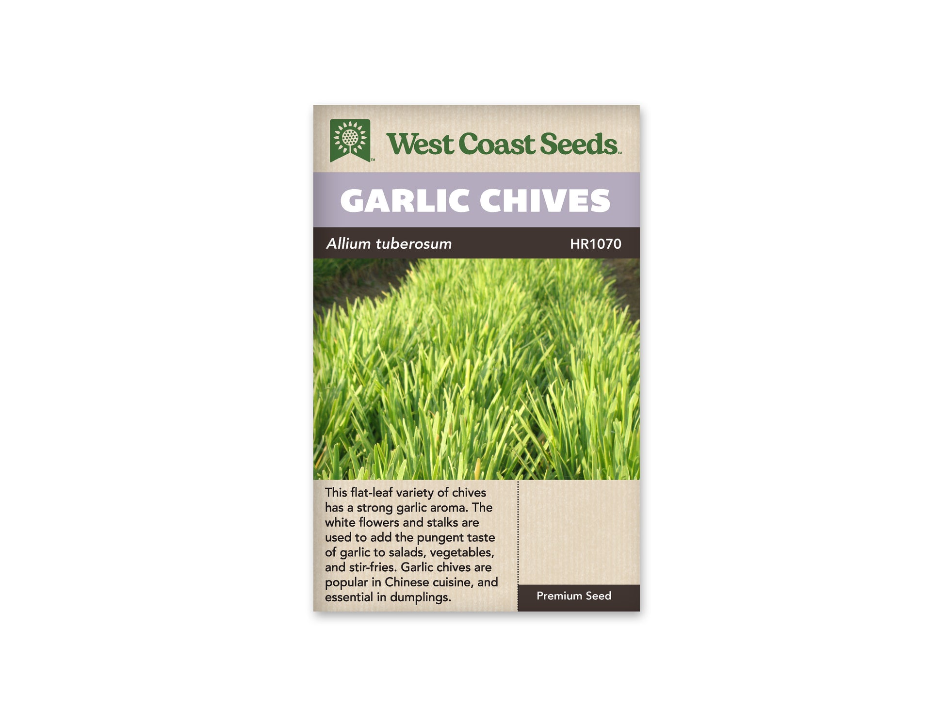 Chives "Garlic Chives" West Coast Seeds
