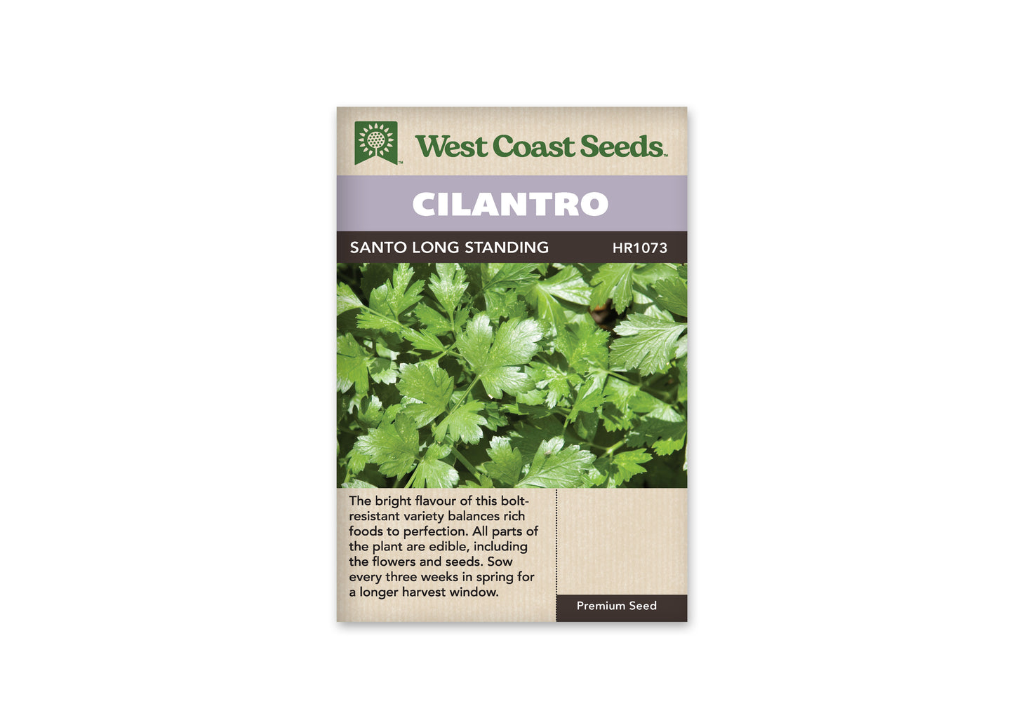 Cilantro "Santo" West Coast Seeds