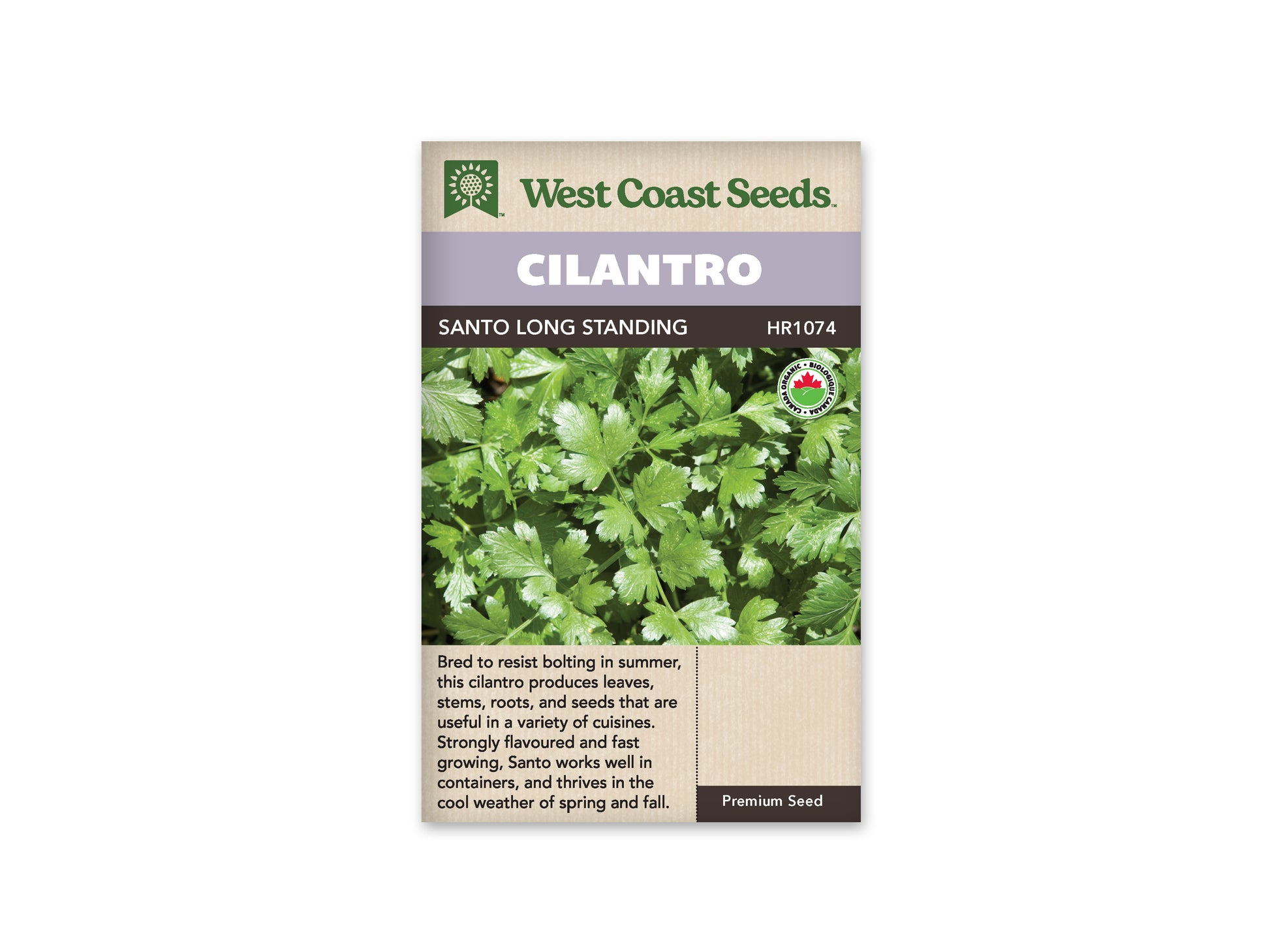Cilantro "Santo Organic" West Coast Seeds