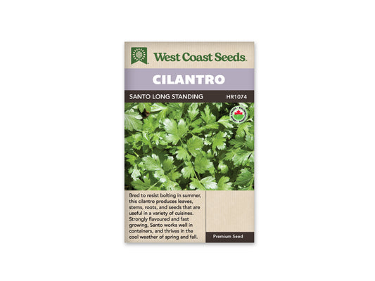 Cilantro “Santo Organic” West Coast Seeds