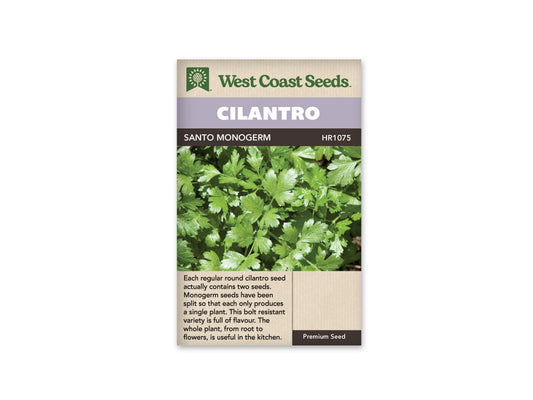 Cilantro “Santo Monogerm” West Coast Seeds