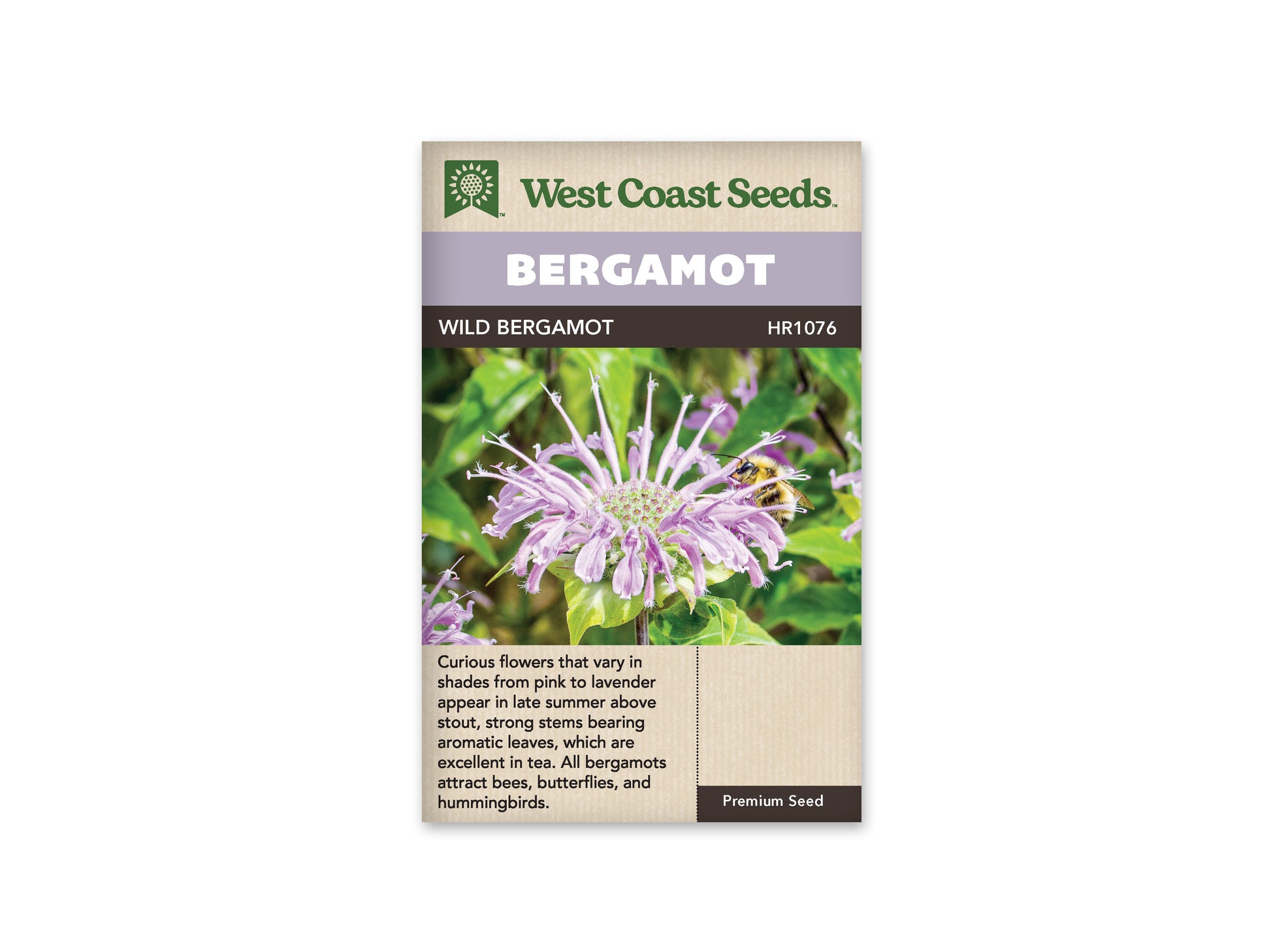Bergamot “Wild Bergamot” West Coast Seeds