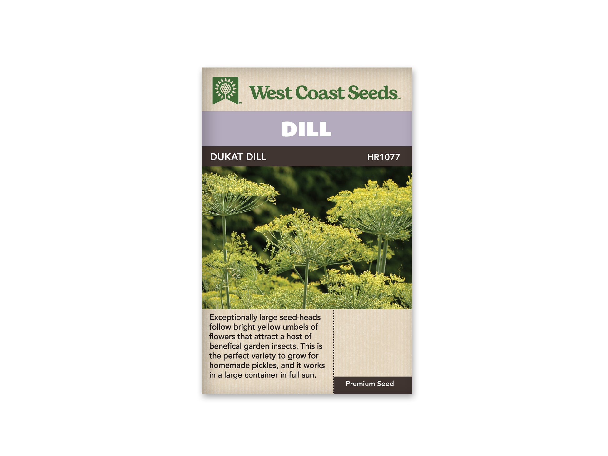 Dill “Dukat” West Coast Seeds