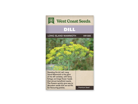 Dill “Long Island Mammoth” West Coast Seeds