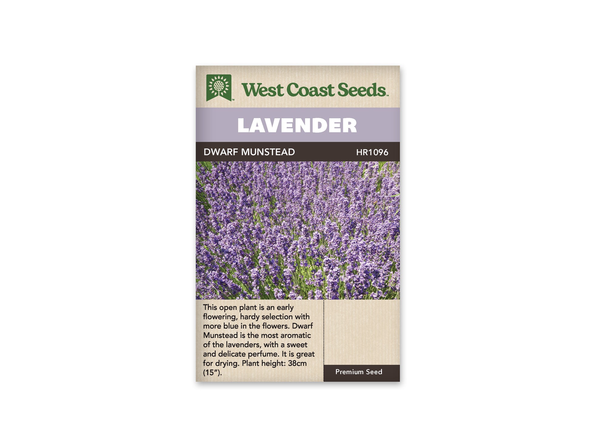 Lavender "Dwarf Munstead" West Coast Seeds
