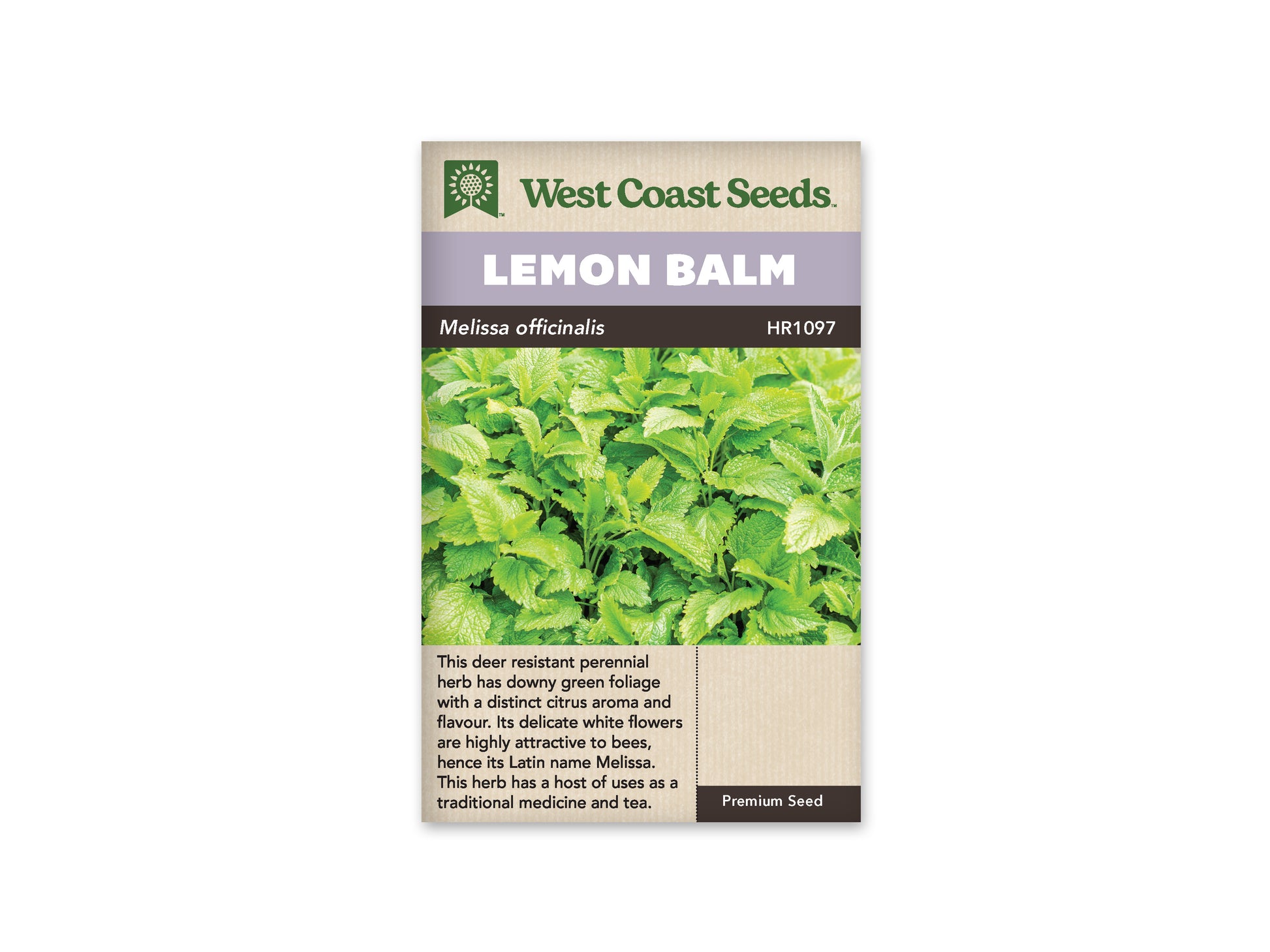 Lemon Balm West Coast Seeds