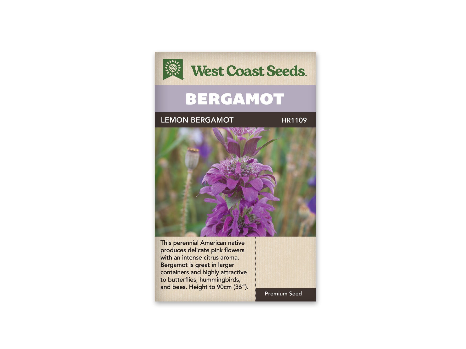 Bergamot "Lemon Bergamot" West Coast Seeds