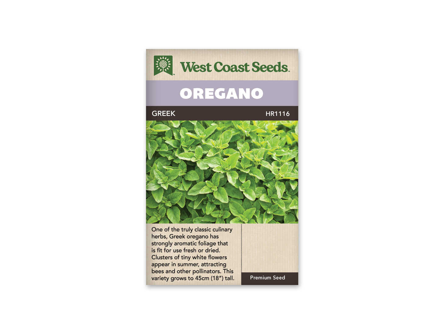 Oregano "Greek Oregano" West Coast Seeds