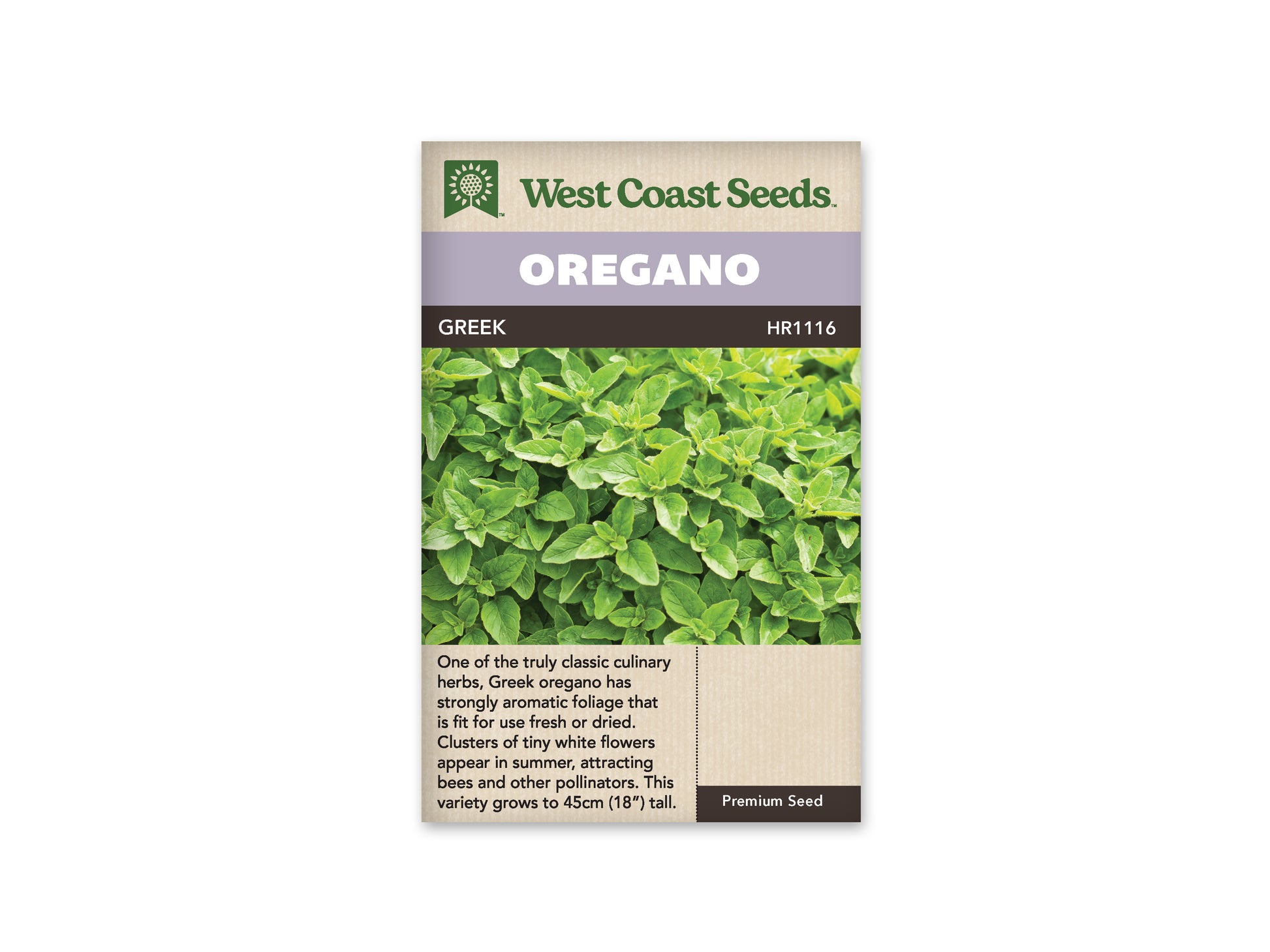 Oregano "Greek Oregano" West Coast Seeds
