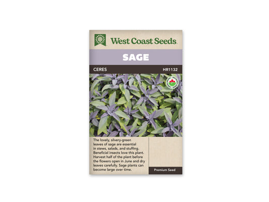 Sage “Ceres Organic” West Coast Seeds