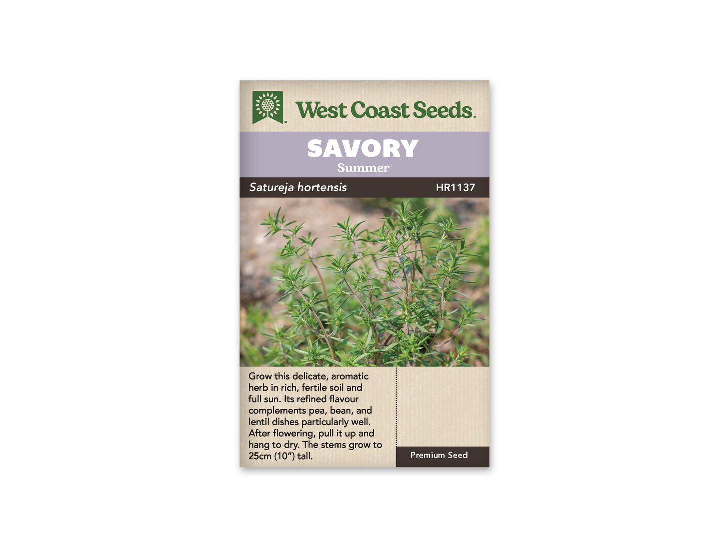 Savory “Summer Savory” West Coast Seeds